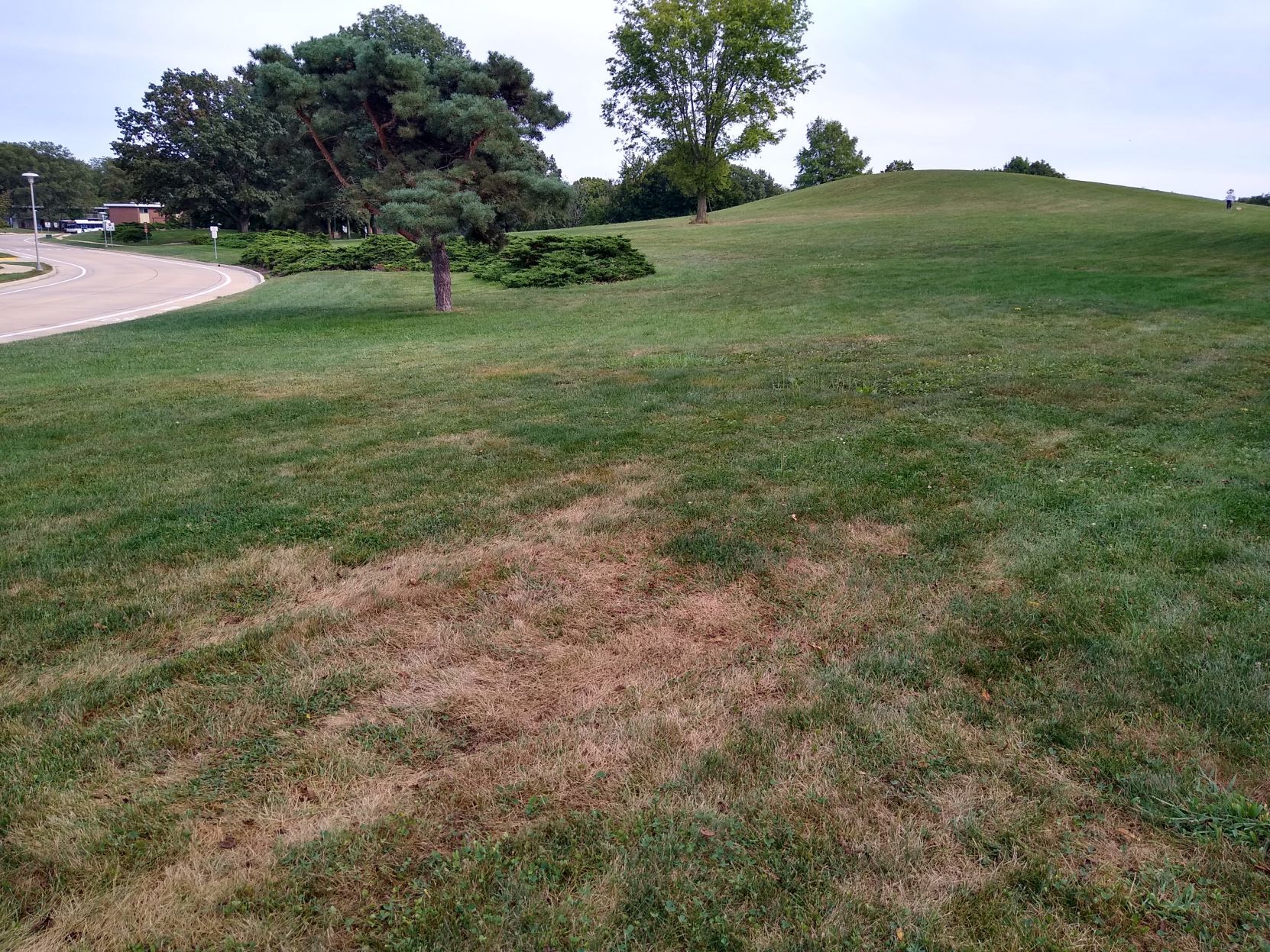 Hill 1
